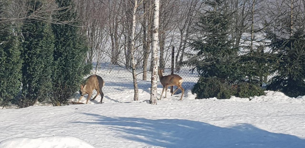 Dom Grabowa Z Sauna I Podgrzewanym Basenem Gilowice  Bagian luar foto