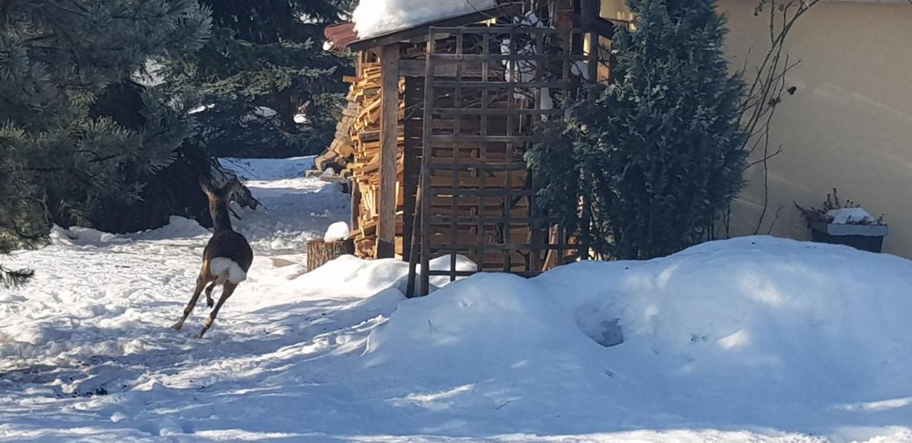 Dom Grabowa Z Sauna I Podgrzewanym Basenem Gilowice  Bagian luar foto