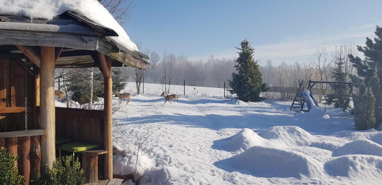 Dom Grabowa Z Sauna I Podgrzewanym Basenem Gilowice  Bagian luar foto